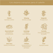 Shampoo Repara e Hidrata 435ML (X3)