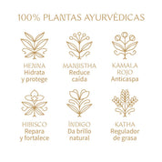 Caoba