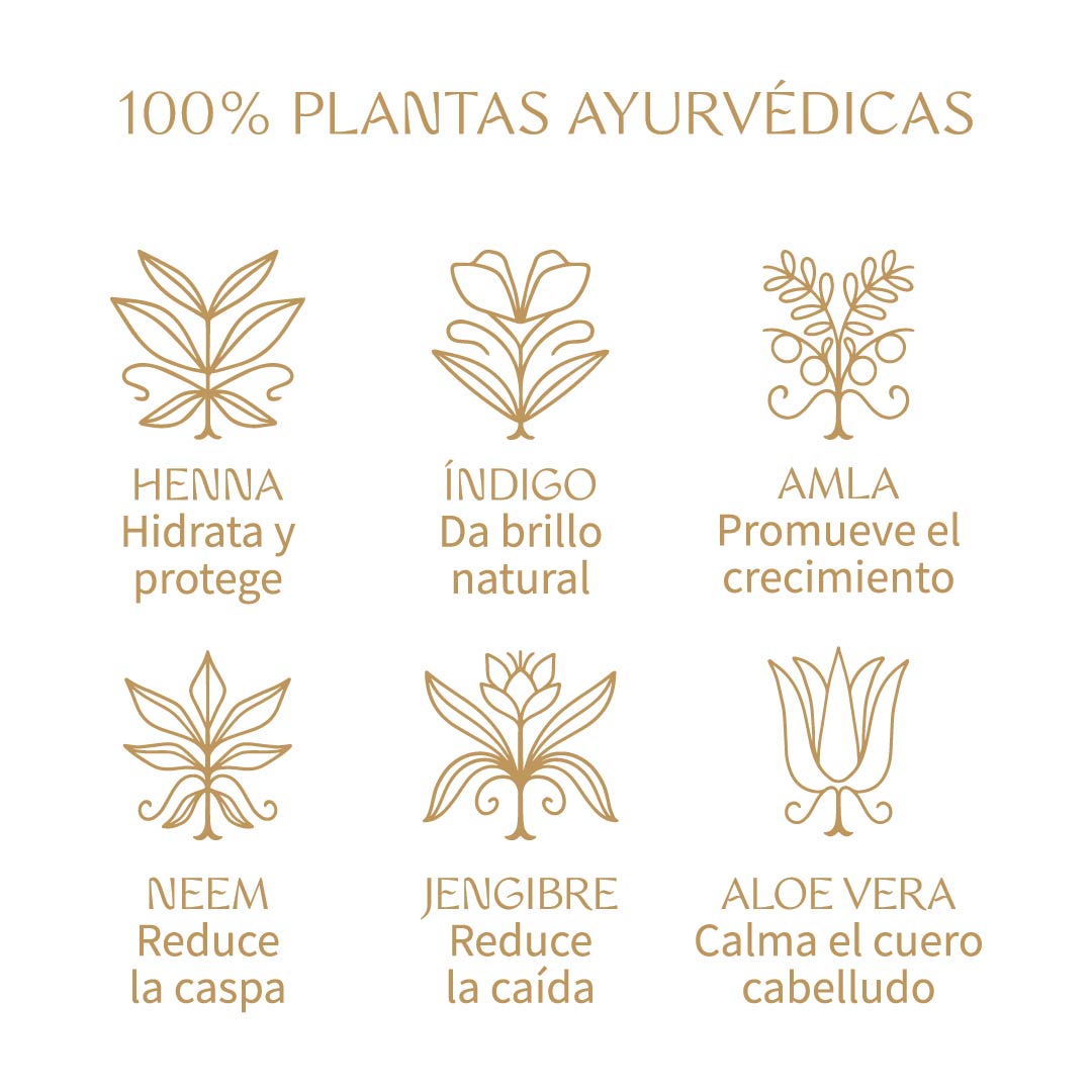 Tierra